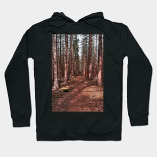 Pinetree Forest Hoodie